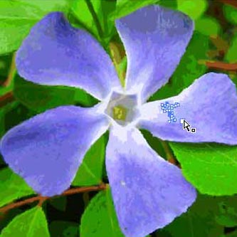 You can convert your images to vectors with Illustrators Live Trace