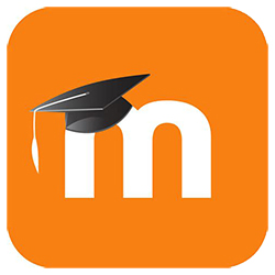 Moodle Icon