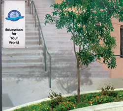 10 Picture Collage 2008