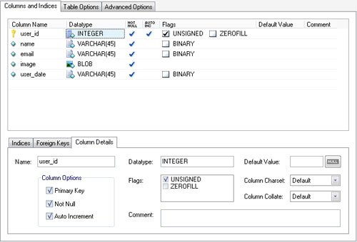 Query Browser Table Fields