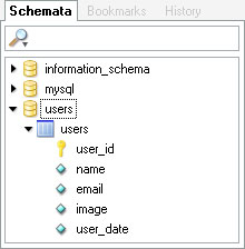 Query Browser Field view
