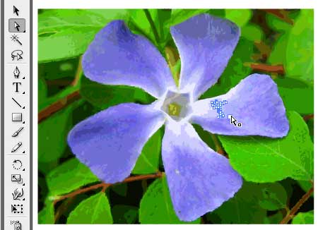 Illustrator vector paths direct select tool