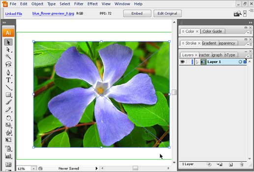 How to convert an image into vector paths with Illustrator | James ...