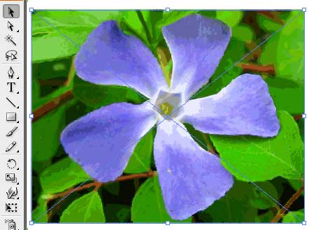 Illustrator vector paths tracing preview